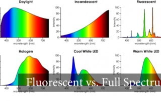 Fluorescent Lights, Myopia Symptom