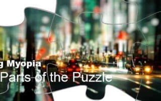 Cure Myopia - Parts of the Puzzle