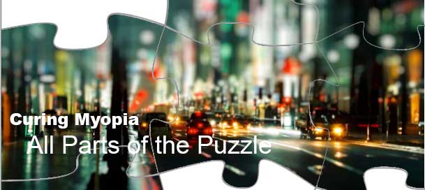 Cure Myopia - Parts of the Puzzle