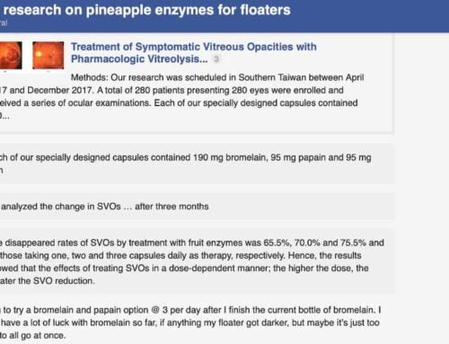 Pineapple Enzymes: A Natural Cure For Eye Floaters?