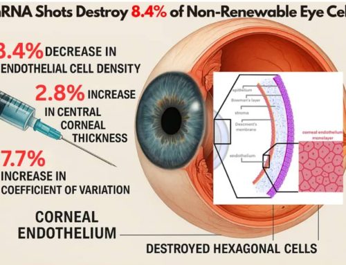 Covid Vaccine: Blurry Vision (Better Than A Reddit Take)
